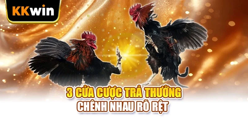 3 cửa cược trả thưởng chênh nhau rõ rệt 
